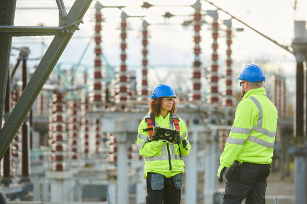 Best Electric Panel Repair  in Rayre, MO